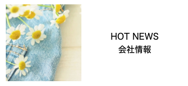 HOT NEWS 会社情報